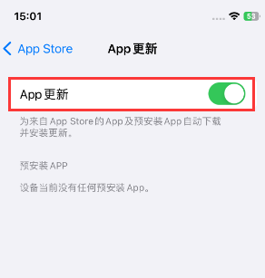 禹会苹果15维修中心如何让iPhone15APP自动更新